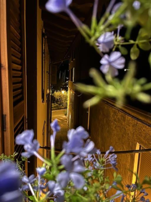 La Piccola Casa Al Lago - Intera Casa Con 3 Camere E 2 Box سالو المظهر الخارجي الصورة