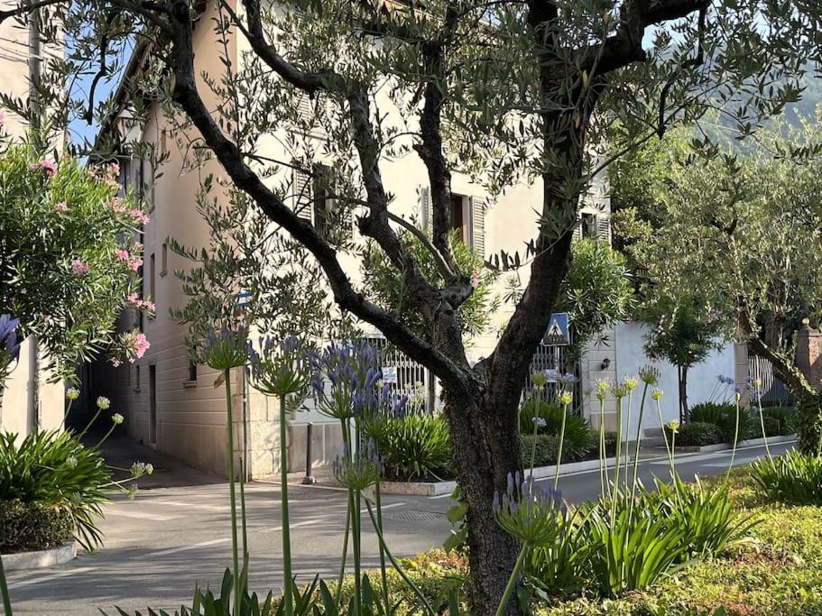 La Piccola Casa Al Lago - Intera Casa Con 3 Camere E 2 Box سالو المظهر الخارجي الصورة